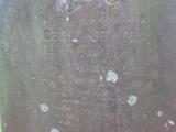 image of grave number 444263
